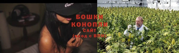 шишки Богородск