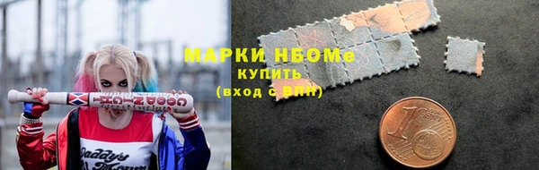 шишки Богородск