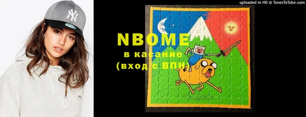 шишки Богородск
