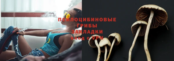 Альфа ПВП Богданович
