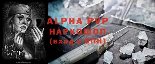 ГАЛЛЮЦИНОГЕННЫЕ ГРИБЫ Тайга